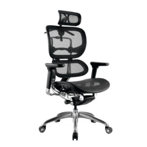ergohuman1-presidencial-decoint Silla ErgoHuman Presidencial. con cabecero