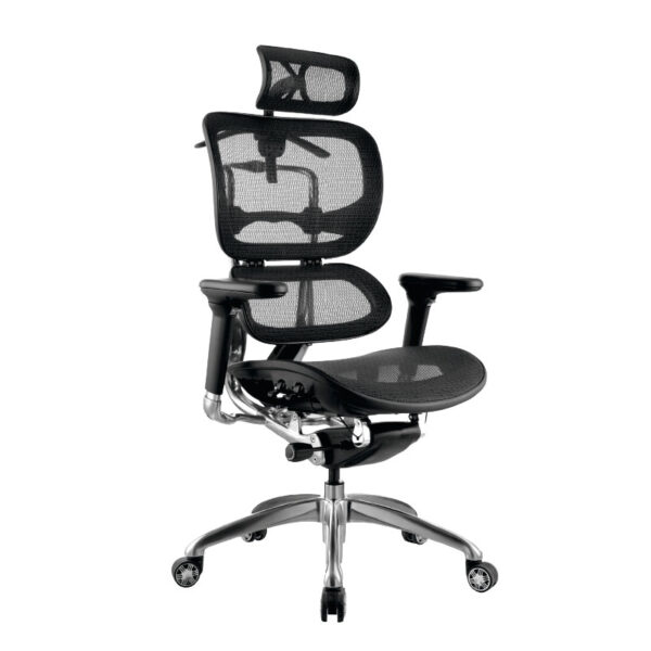 ergohuman1-presidencial-decoint Silla ErgoHuman Presidencial. con cabecero