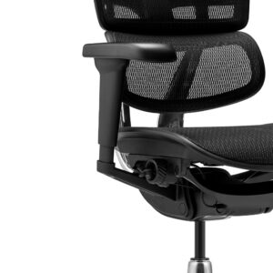 Silla Presidencial Ergohuman Ultra