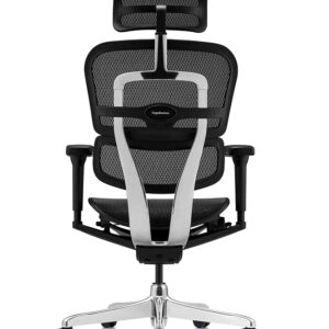 Silla Presidencial Ergohuman Ultra