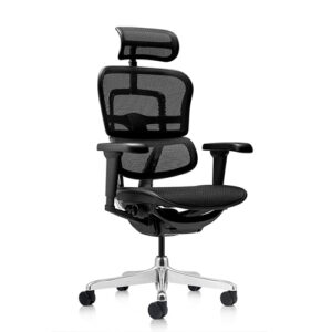 Silla Presidencial Ergohuman Ultra Ergonómica